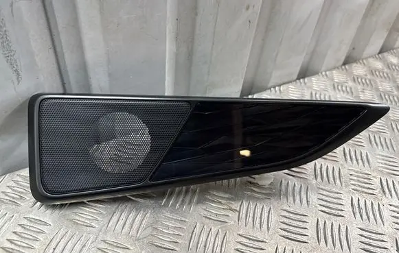 Lexus NX Other rear door trim element 1N4R4-073G