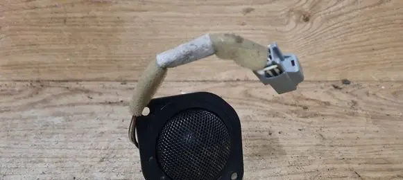 Front door high frequency speaker