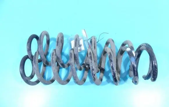 Rear coil spring