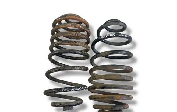 Rear coil spring