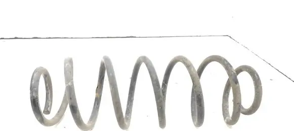Rear coil spring