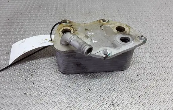 Volkswagen Jetta VI Oil filter mounting bracket 07K117021C