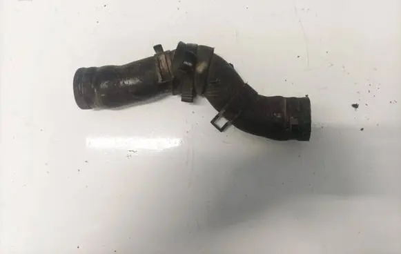 Toyota RAV 4 (XA20) Engine coolant pipe/hose