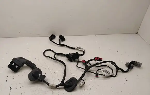 Front door wiring loom