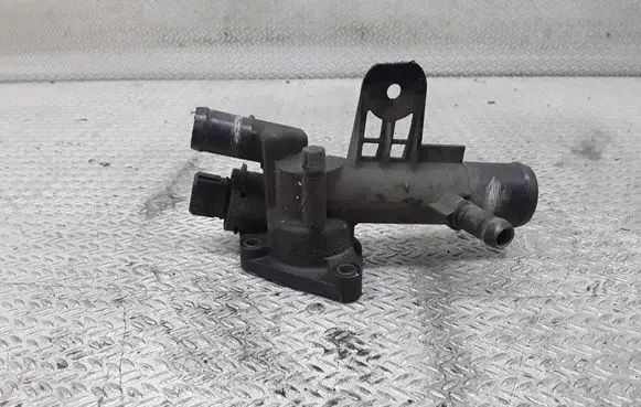 Thermostat/thermostat housing