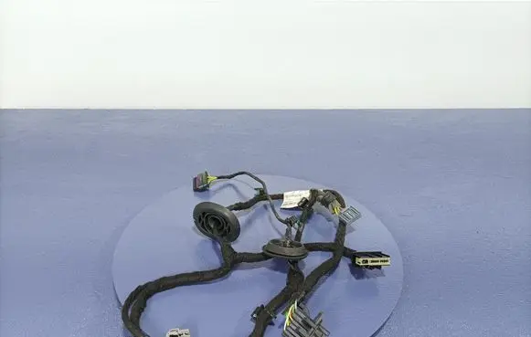 Volvo S90, V90 Other wiring loom 31483489