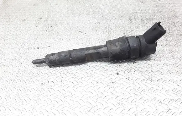Renault Scenic I Fuel injector 7700111014 0445110021