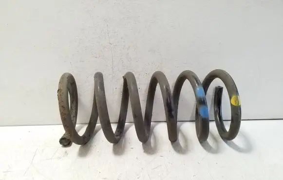 Rear coil spring