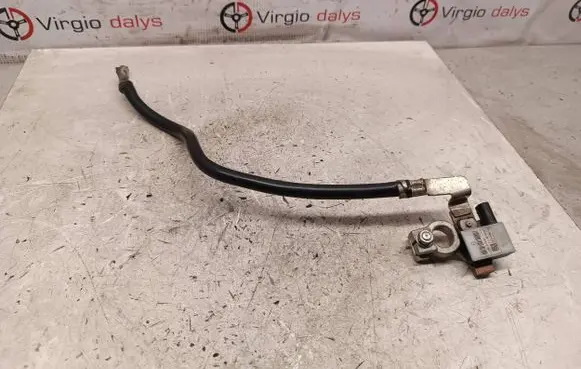 Ford Kuga II Negative earth cable (battery) F1FT10C679BA C95VWSW25 17894000