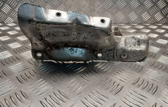 Exhaust heat shield