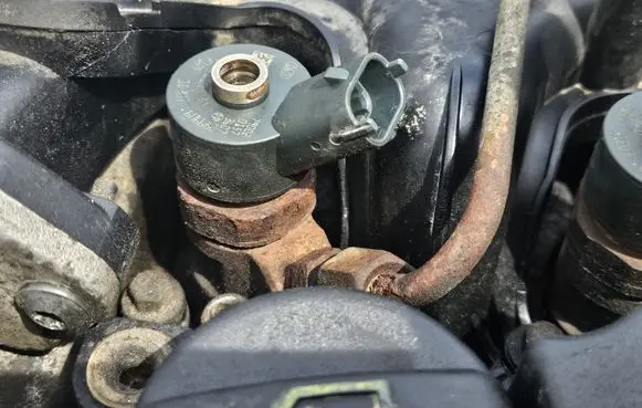 Citroen Berlingo Fuel injector 0445110239