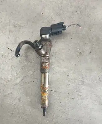 Nissan Qashqai Fuel injector H8200704191