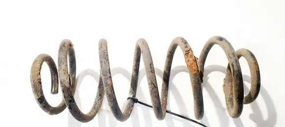 Rear coil spring
