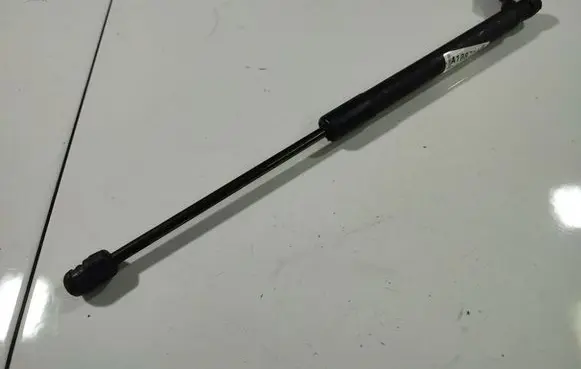 Front bonnet/hood damper/strut