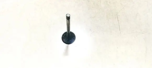 Volkswagen Tiguan Valve 