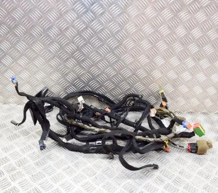 Other wiring loom