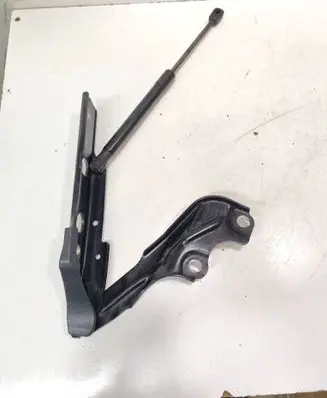 Audi A6 S6 C7 4G Engine bonnet/hood hinges 4G8823301