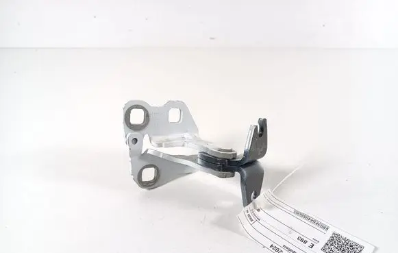 Tesla Model 3 Rear door lower hinge 109133100G