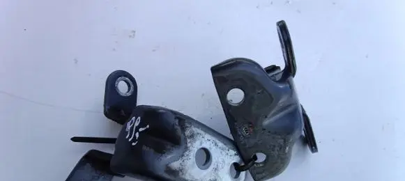 Nissan Qashqai Loading door hinge set 