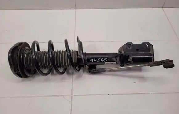 Ford Kuga III Front shock absorber with coil spring LX61-18K001-SAD