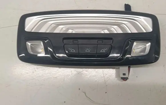 Rear seat light