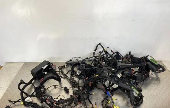 Maserati Levante Other wiring loom 670105878 06701058780