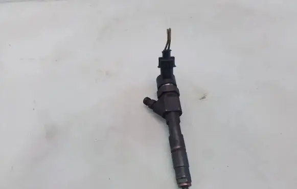 Renault Laguna II Fuel injector 0445110146
