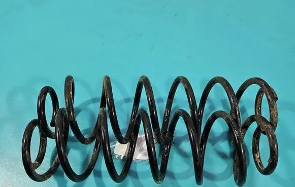 Rear coil spring