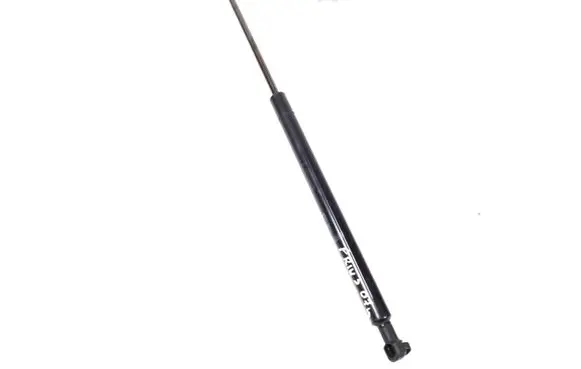 Tailgate strut