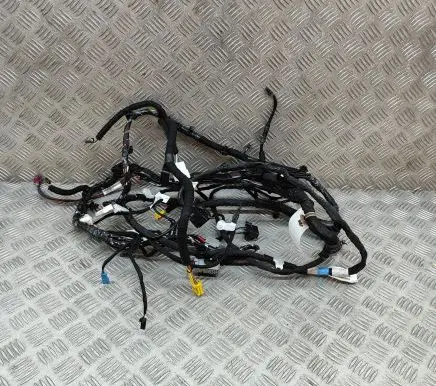 Tesla Model Y Other wiring loom 248904800A