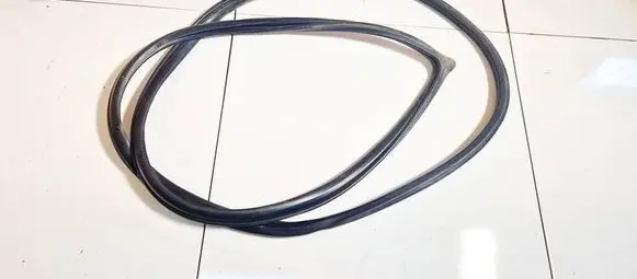 Mitsubishi Grandis Rubber seal front coupe door 