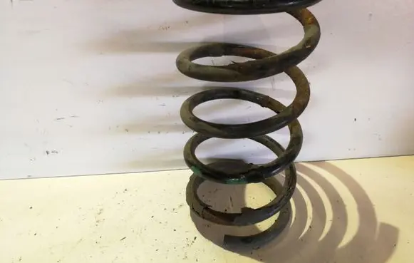 Rear coil spring