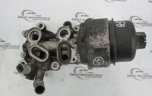 Peugeot 207 CC Oil filter mounting bracket 9685997780