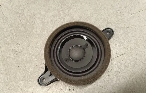 Front door speaker