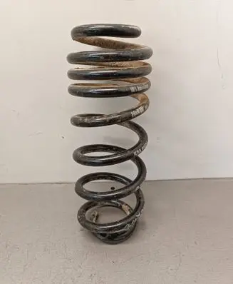 Rear coil spring