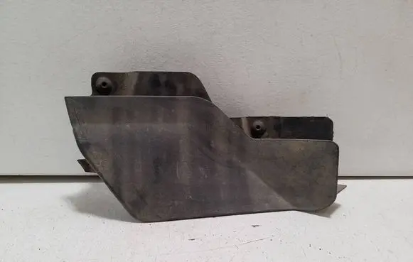 Cupra Born Rear mudguard 10A854855B