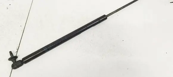 Tailgate/trunk strut/damper