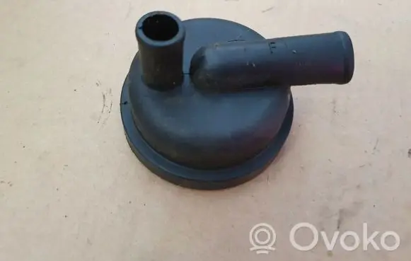 Volkswagen Caddy Breather valve 076129101