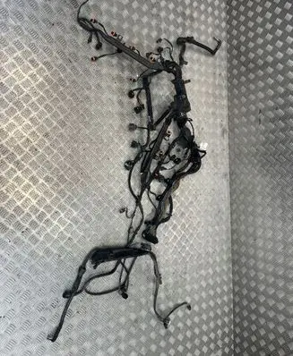 Porsche Panamera (971) Positive wiring loom 
