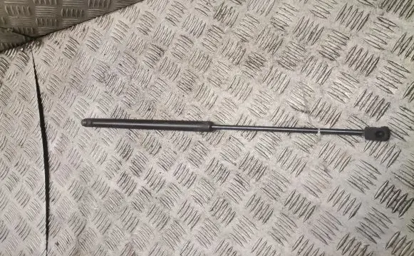 Tailgate strut