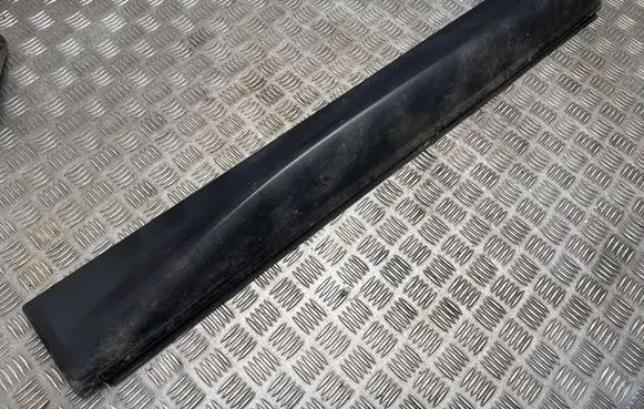 Land Rover Range Rover Sport L320 Front door trim (molding) DGP000211