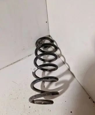 Rear coil spring