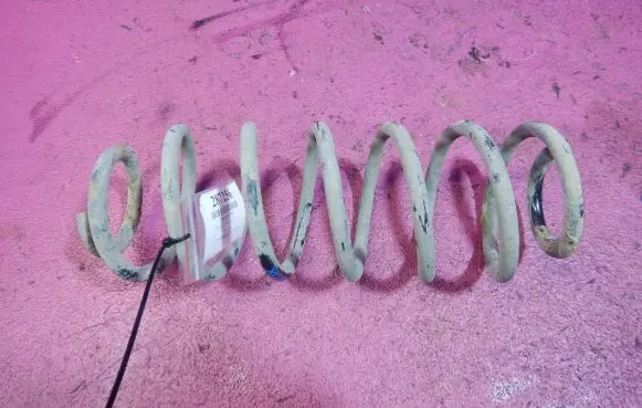 Rear coil spring