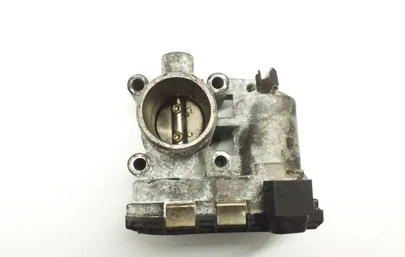 Throttle body valve