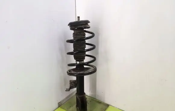 Peugeot 307 Front shock absorber with coil spring
