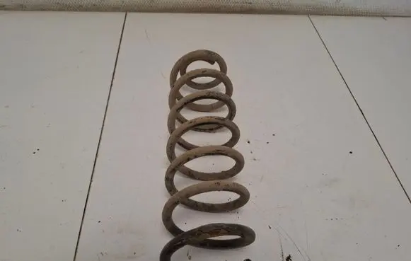 Rear coil spring
