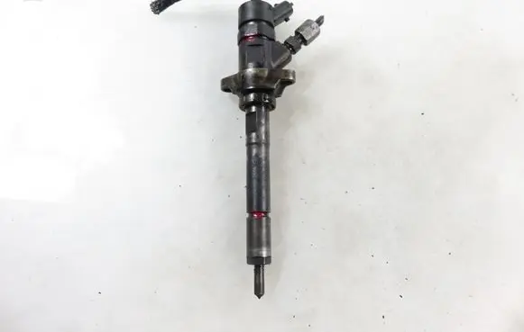 Peugeot Partner Fuel injector 0445110239