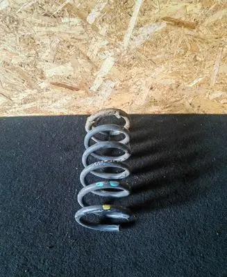 Rear coil spring