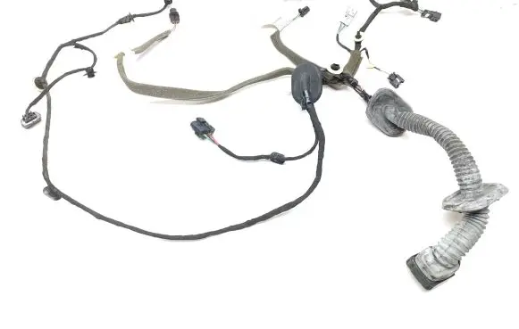 Renault Espace V (RFC) Front door wiring loom 241256268R 133204 00521