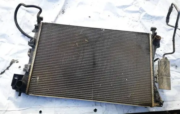 Opel Signum Coolant radiator 24418343